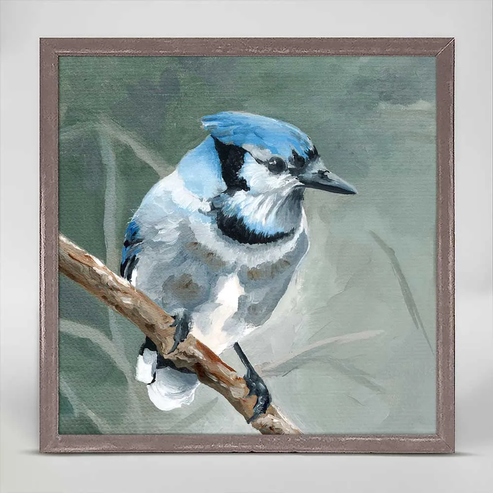 Avian Spotlight - Blue Jay Mini Framed Canvas